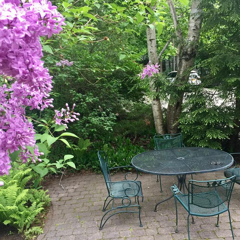 Elms Of Camden Bed and Breakfast Εξωτερικό φωτογραφία